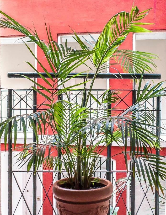 Apartment Conde Ibarra